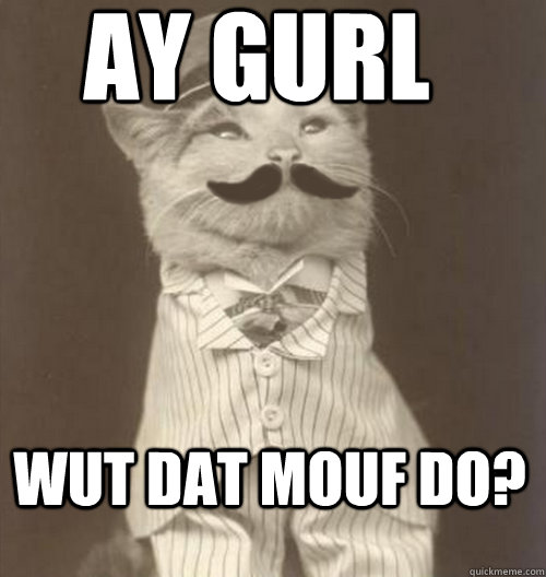 Ay Gurl wut dat mouf do? - Ay Gurl wut dat mouf do?  Dat Kat