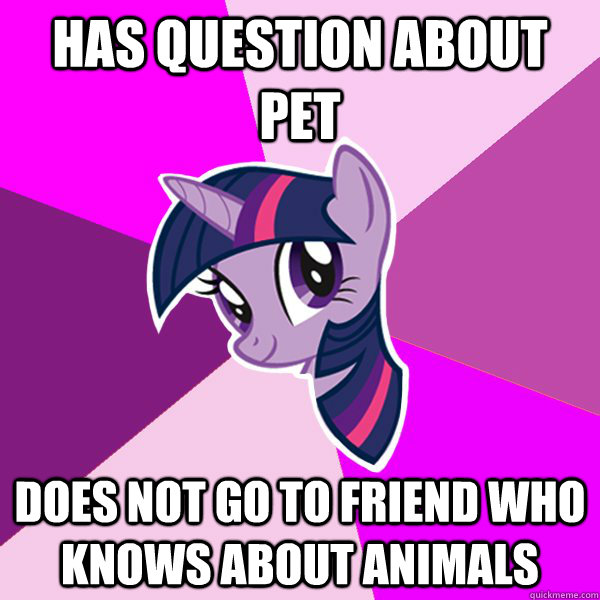 Has question about pet does not go to friend who knows about animals  Twilight Sparkle