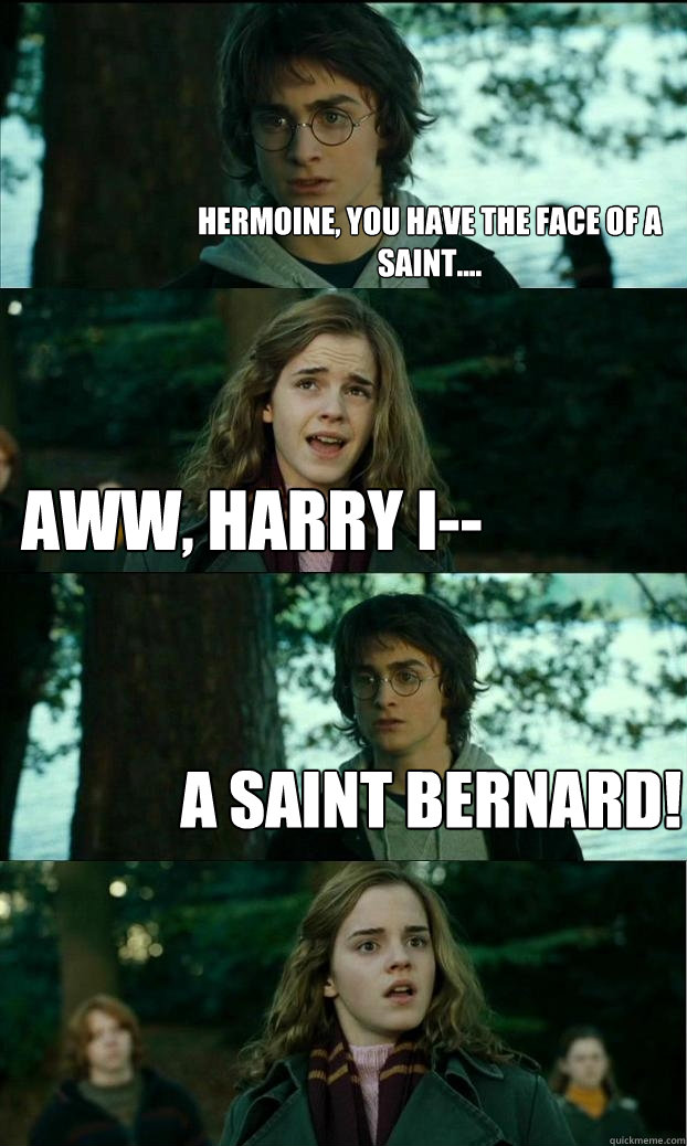 hermoine, you have the face of a saint.... Aww, Harry i-- A saint bernard!   Horny Harry