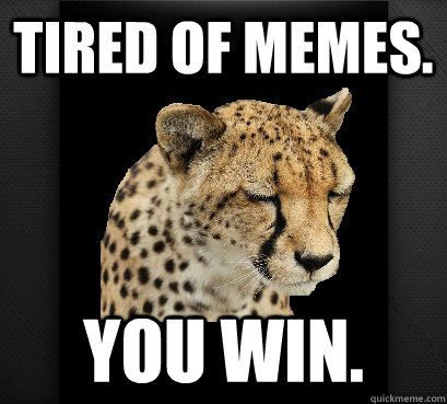 Tired of memes. You win.  Defeated Cheetah