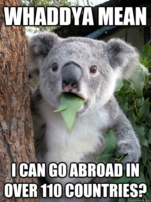 Whaddya mean I can go abroad in over 110 countries? - Whaddya mean I can go abroad in over 110 countries?  koala bear