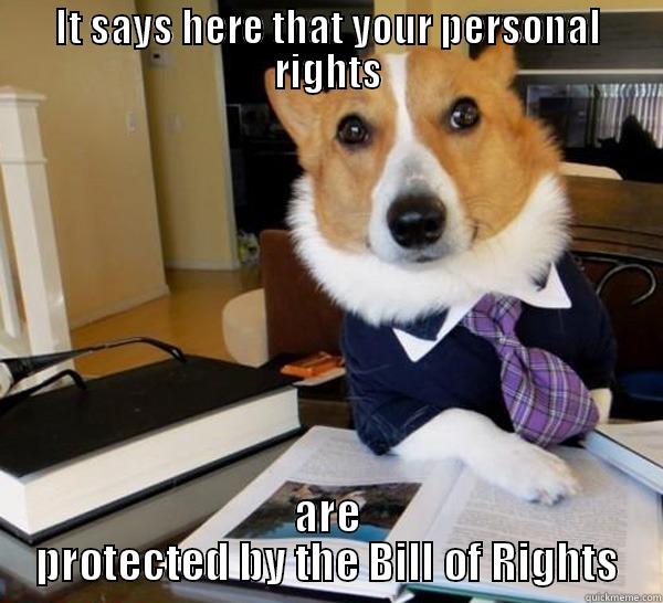 IT SAYS HERE THAT YOUR PERSONAL RIGHTS ARE PROTECTED BY THE BILL OF RIGHTS Lawyer Dog