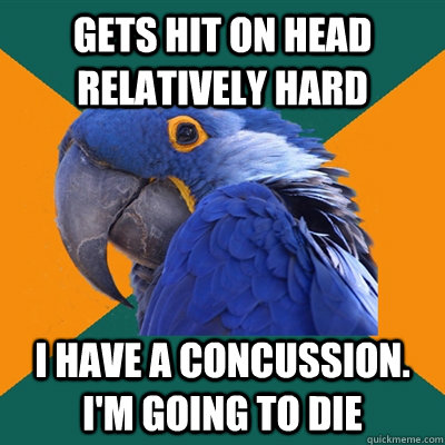 gets hit on head relatively hard i have a concussion. i'm going to die - gets hit on head relatively hard i have a concussion. i'm going to die  Paranoid Parrot