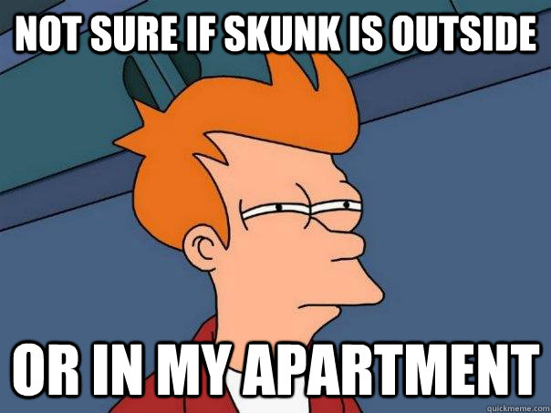 not sure if skunk is outside or in my apartment  Futurama Fry