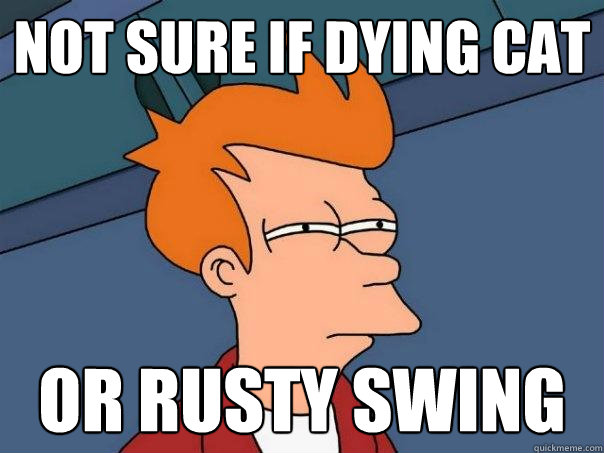 Not sure if dying cat or rusty swing  Futurama Fry