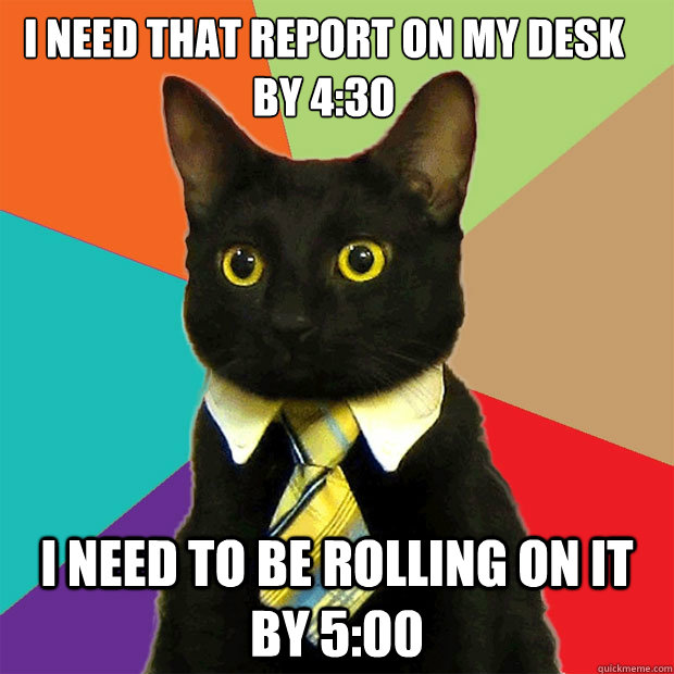 I need that report on my desk by 4:30 I need to be rolling on it by 5:00  Business Cat