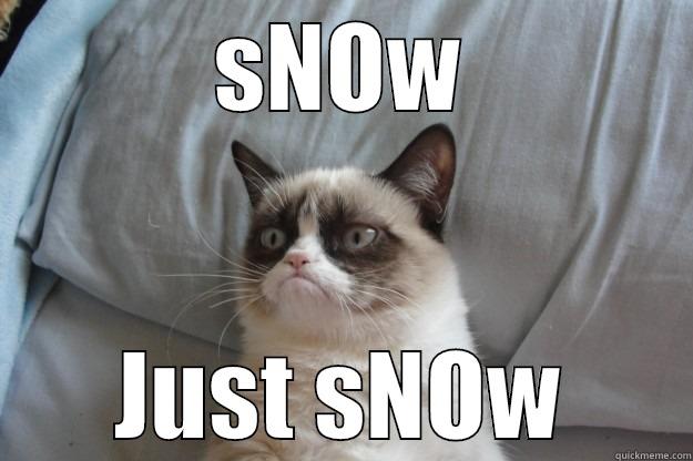 SNOW JUST SNOW Grumpy Cat