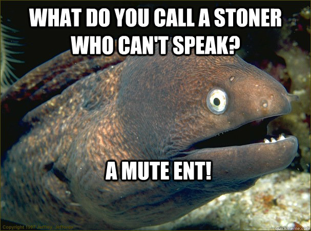 What do you call a stoner who can't speak? A mute ent!  Bad Joke Eel