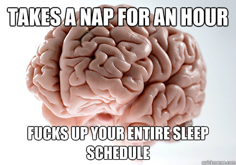 Takes a nap for an hour Fucks up your entire sleep schedule  Scumbag Brain