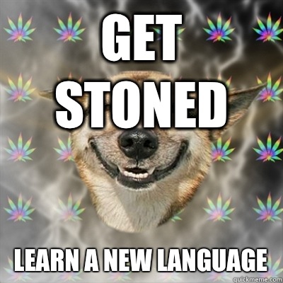 Get stoned Learn a new language  Stoner Dog