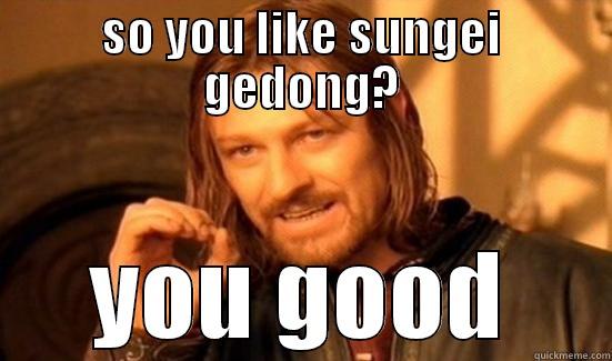 SO YOU LIKE SUNGEI GEDONG? YOU GOOD Boromir