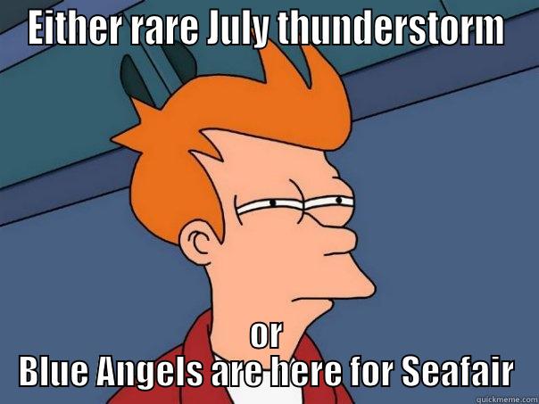 EITHER RARE JULY THUNDERSTORM OR BLUE ANGELS ARE HERE FOR SEAFAIR Futurama Fry