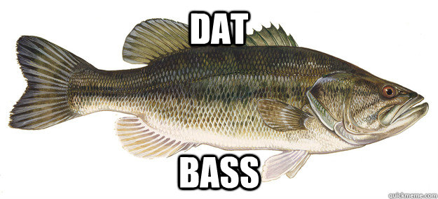 DAT BASS - DAT BASS  Misc