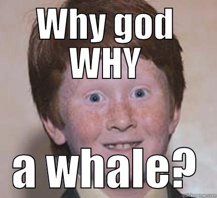 WHY GOD WHY A WHALE? Over Confident Ginger