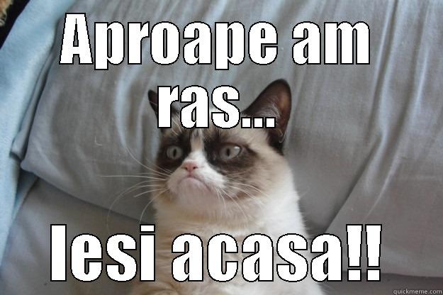 APROAPE AM RAS... IESI ACASA!! Grumpy Cat