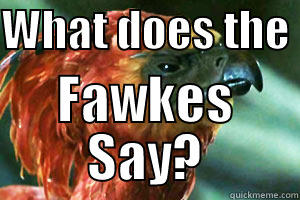 WHAT DOES THE  FAWKES SAY? Misc