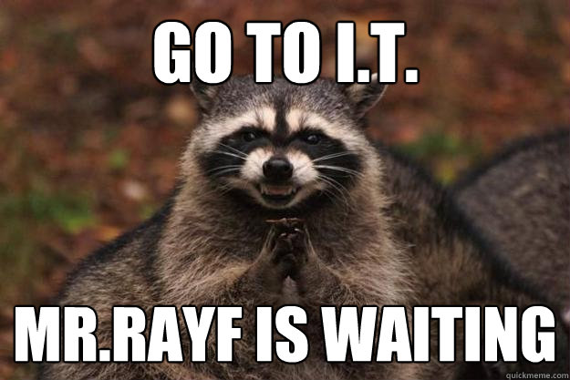 go to I.t. Mr.Rayf is waiting  Evil Plotting Raccoon