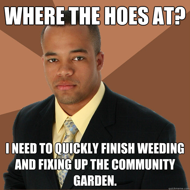 Where the hoes at? I need to quickly finish weeding and fixing up the community garden.  Successful Black Man