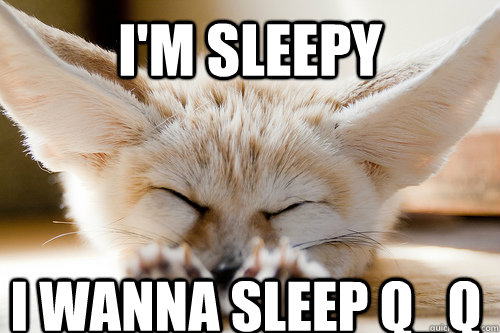 i'm sleepy i wanna sleep Q_Q  Sleepy Fennec Fox
