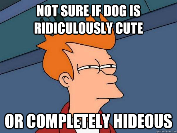 Not sure if Dog is ridiculously cute Or completely hideous  Futurama Fry