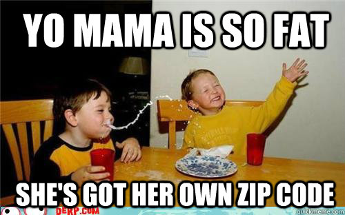  Yo mama is so fat  she's got her own zip code  yo mama is so fat