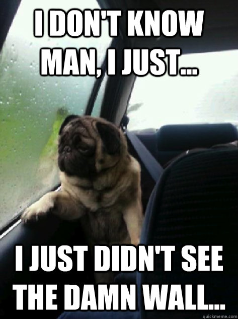 I don't know man, I just... I just didn't see the damn wall...  Introspective Pug