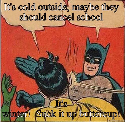 IT'S COLD OUTSIDE, MAYBE THEY SHOULD CANCEL SCHOOL IT'S WINTER!  SUCK IT UP BUTTERCUP! Batman Slapping Robin