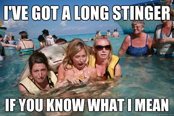 I've got a long stinger if you know what I mean - I've got a long stinger if you know what I mean  Pervert Stingray