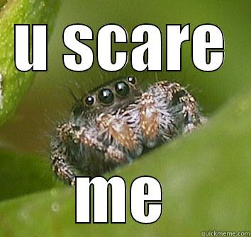 U SCARE ME Misunderstood Spider