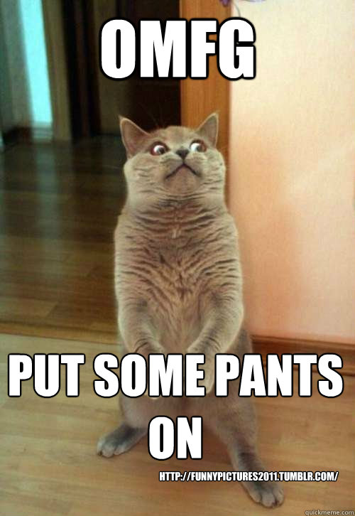 omfg put some pants on http://funnypictures2011.tumblr.com/  Horrorcat