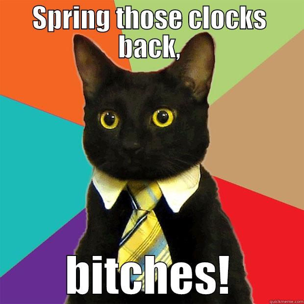 SPRING THOSE CLOCKS BACK, BITCHES! Business Cat