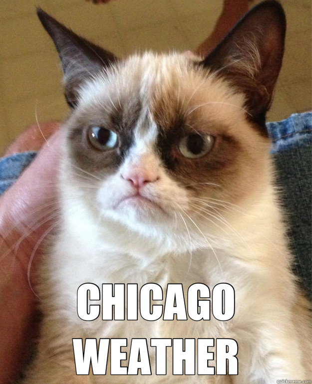  CHICAGO WEATHER  Grumpy Cat