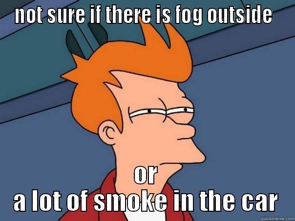 NOT SURE IF THERE IS FOG OUTSIDE  OR A LOT OF SMOKE IN THE CAR Futurama Fry