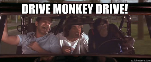 Drive Monkey Drive! - Drive Monkey Drive!  Grandmas Boy monkey drive