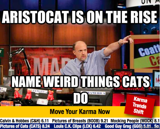 Aristocat is on the rise name weird things cats do  Mad Karma with Jim Cramer