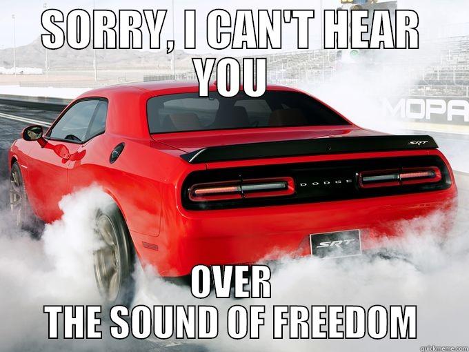 SORRY, I CAN'T HEAR YOU OVER THE SOUND OF FREEDOM Misc