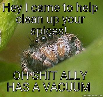 HEY I CAME TO HELP CLEAN UP YOUR SPICES!  OH SHIT ALLY HAS A VACUUM  Misunderstood Spider