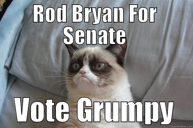 Rod Bryan for US Senate - ROD BRYAN FOR SENATE VOTE GRUMPY Grumpy Cat