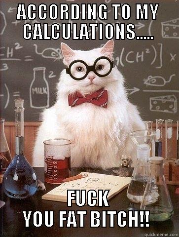 ACCORDING TO MY CALCULATIONS..... FUCK YOU FAT BITCH!!  Chemistry Cat