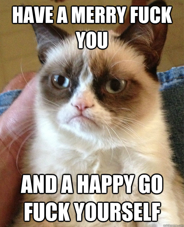 Have a Merry Fuck You and a happy Go Fuck Yourself  Grumpy Cat