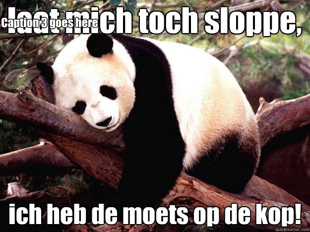 laat mich toch sloppe, ich heb de moets op de kop! Caption 3 goes here  Procrastination Panda