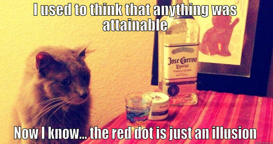 Regret Cat - I USED TO THINK THAT ANYTHING WAS ATTAINABLE NOW I KNOW... THE RED DOT IS JUST AN ILLUSION Misc