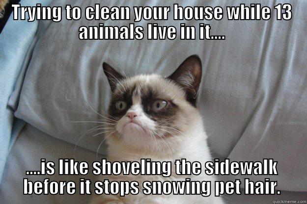 TRYING TO CLEAN YOUR HOUSE WHILE 13 ANIMALS LIVE IN IT.... ....IS LIKE SHOVELING THE SIDEWALK BEFORE IT STOPS SNOWING PET HAIR. Grumpy Cat