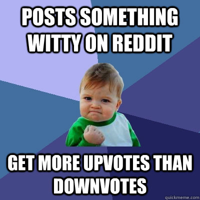 posts something witty on reddit get more upvotes than downvotes  Success Kid