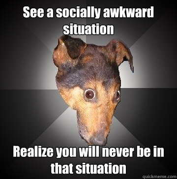 See a socially awkward situation Realize you will never be in that situation  Depression Dog