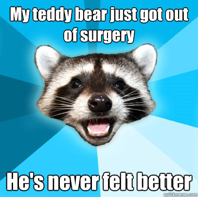 My teddy bear just got out of surgery He's never felt better  Lame Pun Coon