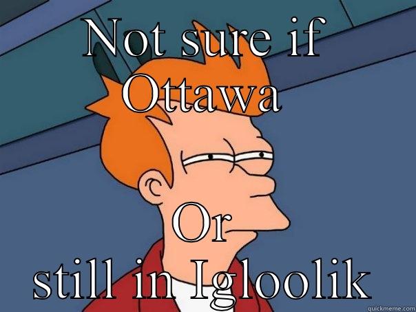 Cold as hell - NOT SURE IF OTTAWA OR STILL IN IGLOOLIK Futurama Fry