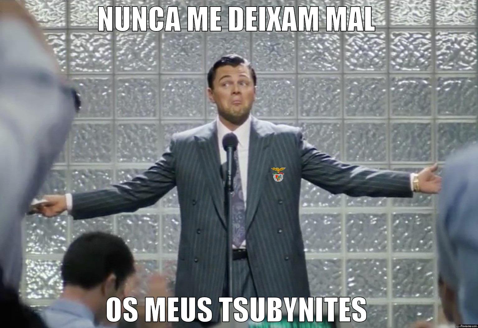 NUNCA ME DEIXAM MAL OS MEUS TSUBYNITES Misc