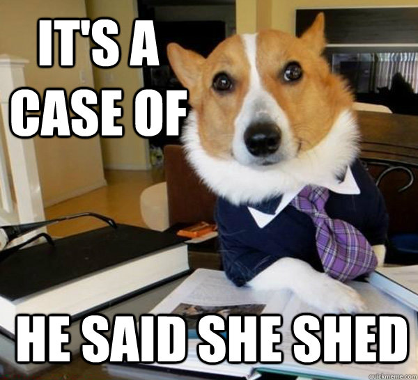 iT'S A CASE OF  HE SAID SHE SHED  Lawyer Dog