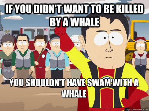 If you didn't want to be killed by a whale You shouldn't have swam with a whale - If you didn't want to be killed by a whale You shouldn't have swam with a whale  Captain Hindsight